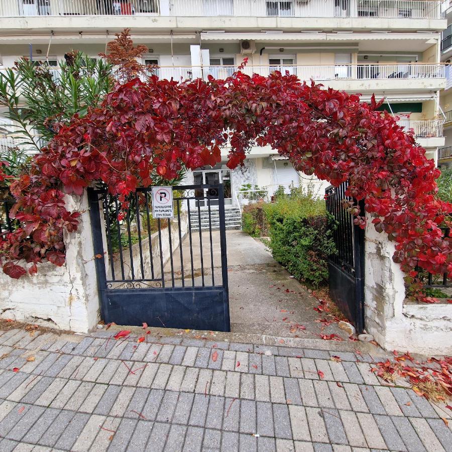 Best Minimal Studio In Xanthi - Myhomee Exteriör bild